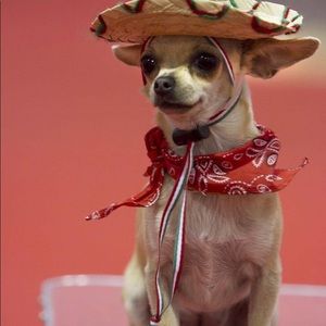 Meet your Posher, Chase